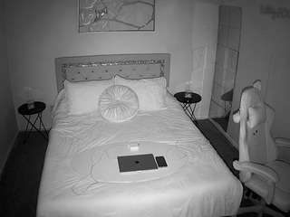 voyeurcam-whitneyoc-01