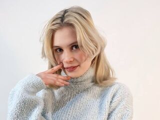 web cam live DionTarzia