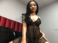 jasmin live cam DionneRosse